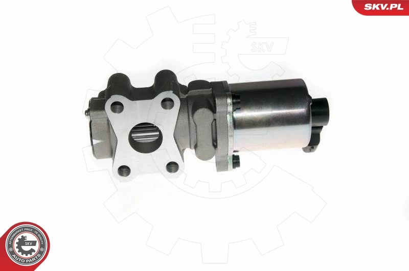 EGR Valve